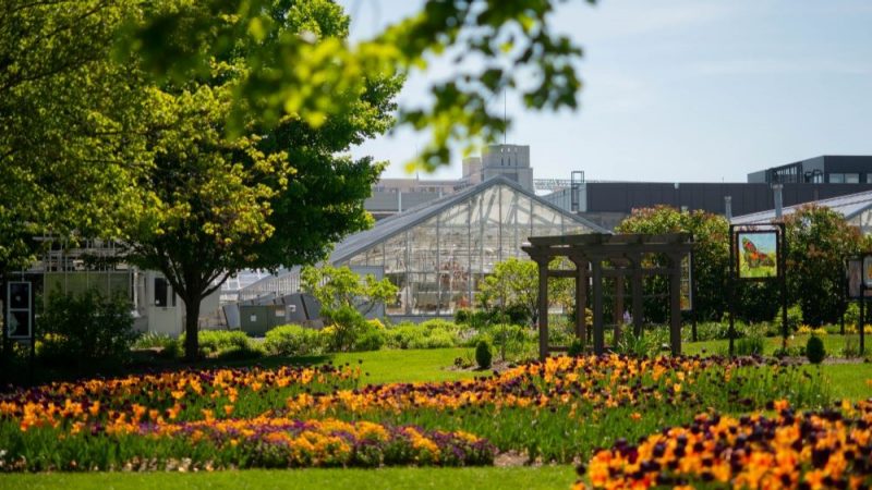 Greenhouse Teaching Plant Collection